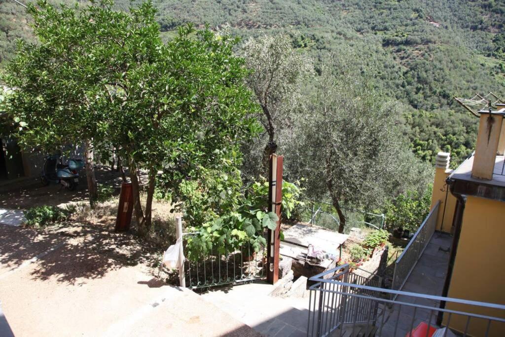 Le Case Della Lizza - Casa Verde Levanto Exterior foto